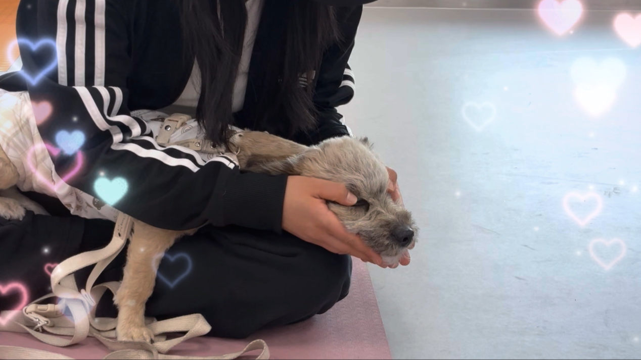 1 (8).png 이미지입니다.