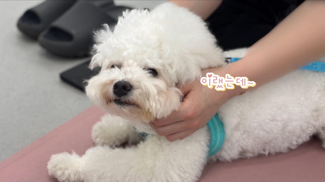 1 (9).png 이미지입니다.