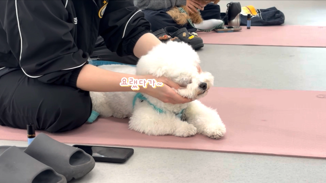 1 (10).png 이미지입니다.