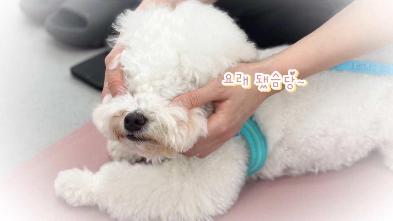 1 (11).png 이미지입니다.