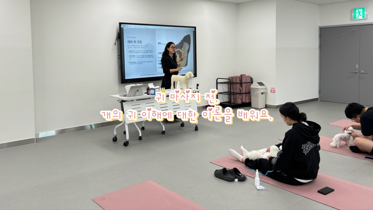 1 (12).png 이미지입니다.