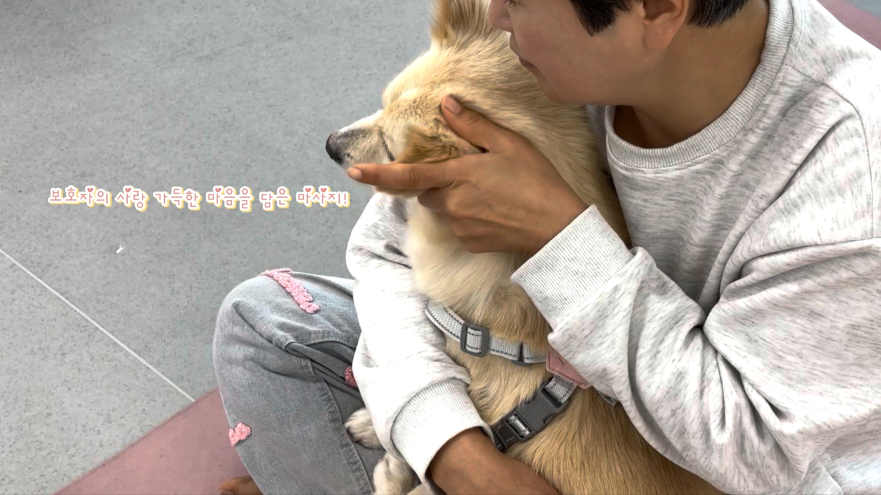 1 (13).png 이미지입니다.