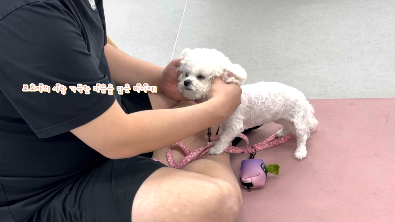 1 (14).png 이미지입니다.