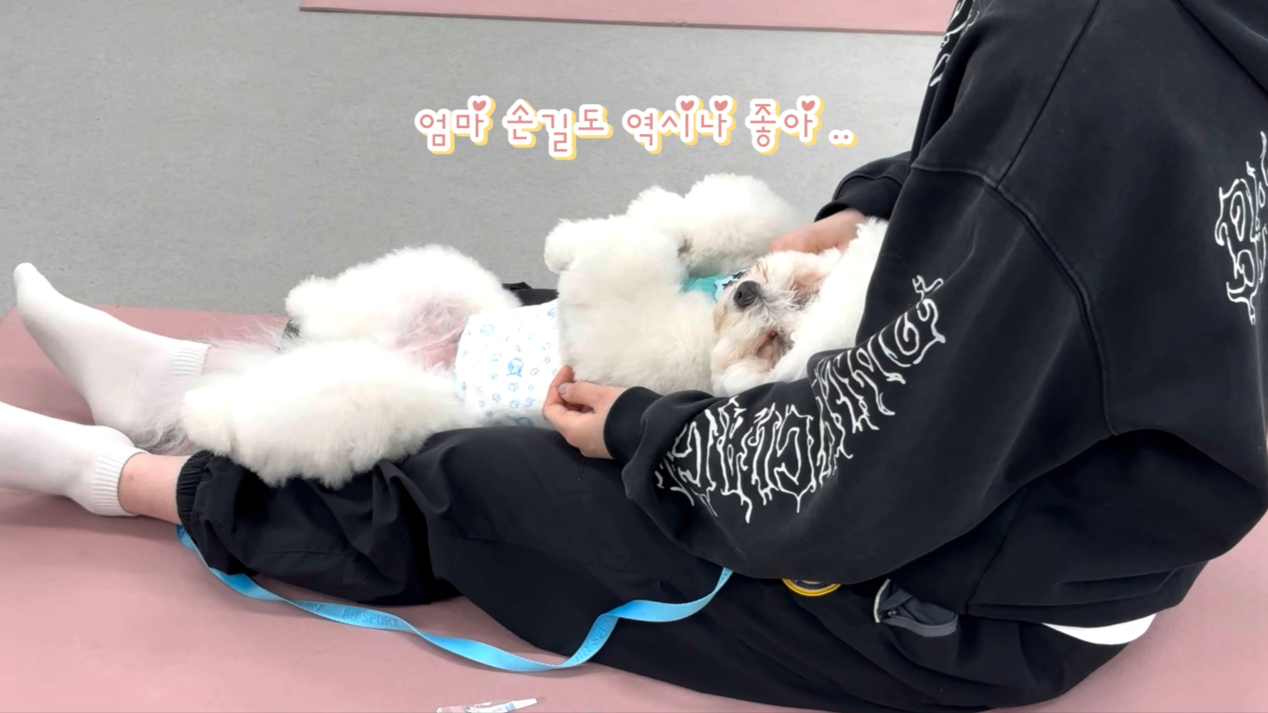 1 (15).png 이미지입니다.