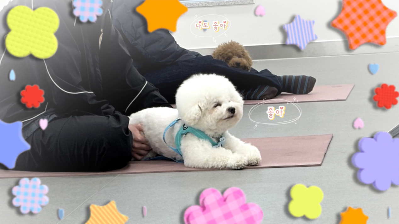 1 (16).png 이미지입니다.