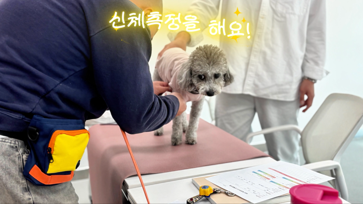 독피트 (3).png 이미지입니다.