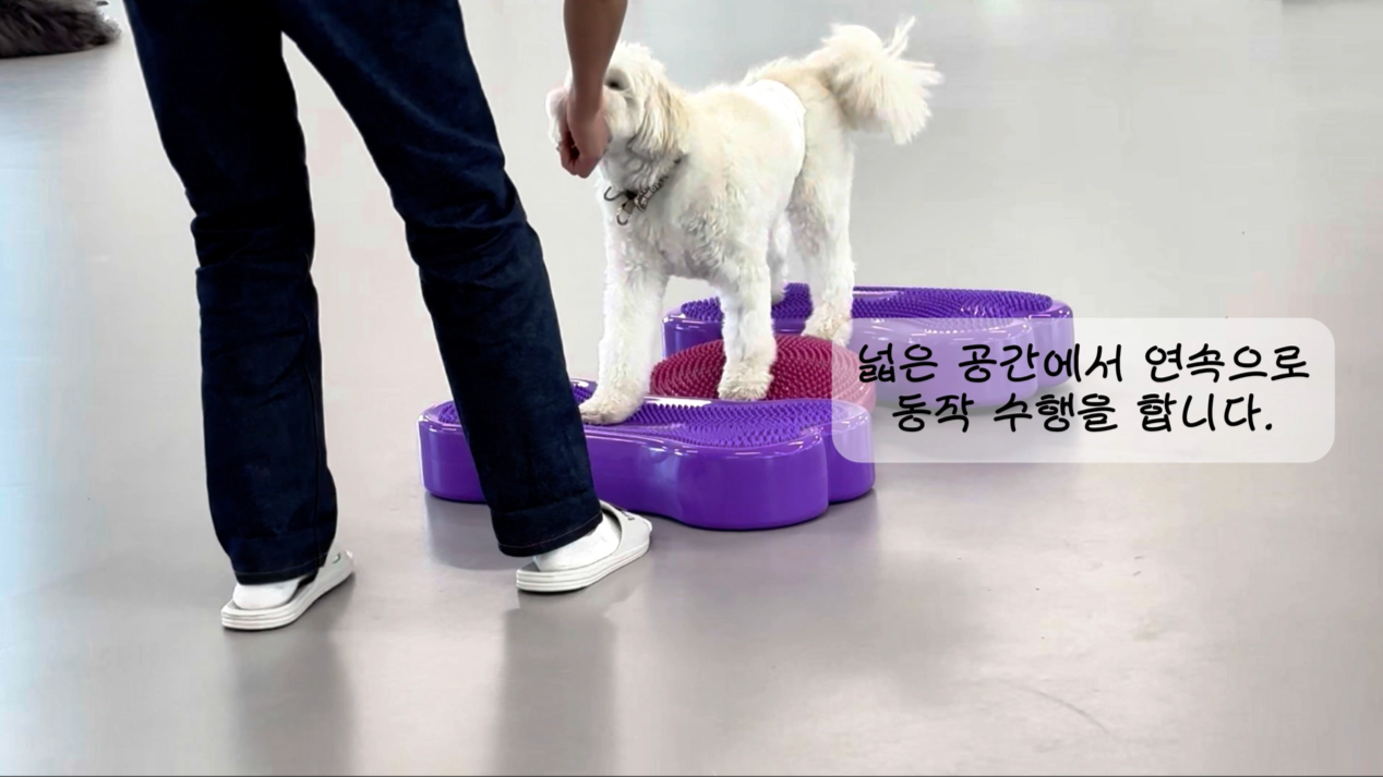 독피트 (23).png 이미지입니다.