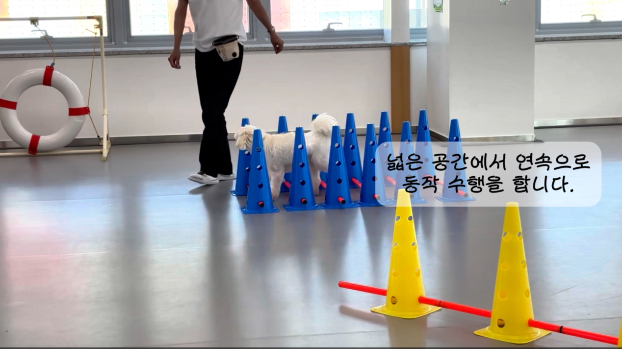 독피트 (24).png 이미지입니다.