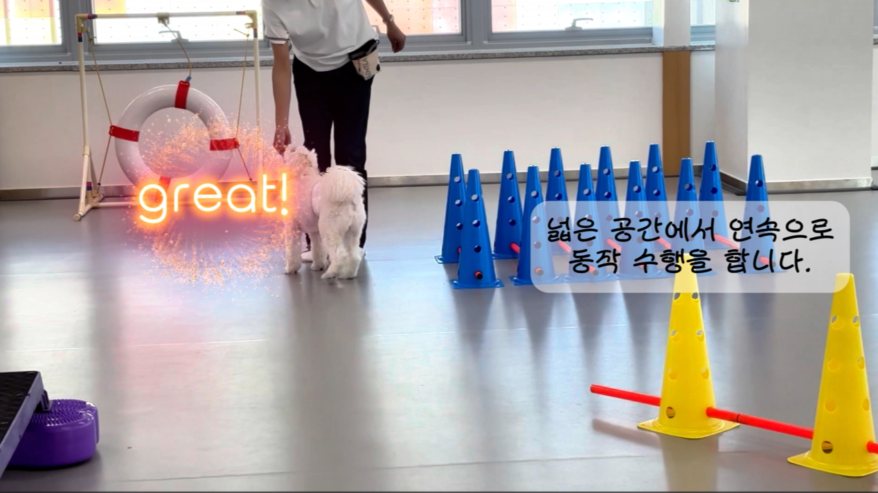 독피트 (25).png 이미지입니다.