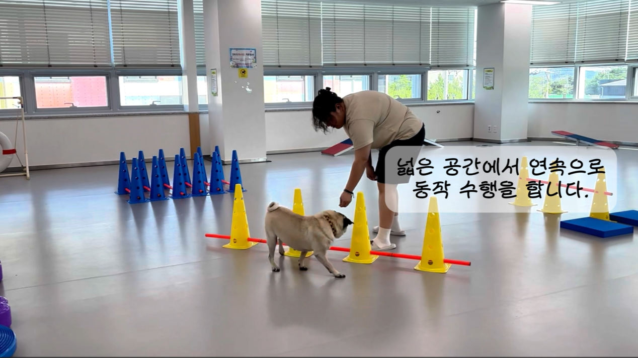 독피트 (26).png 이미지입니다.