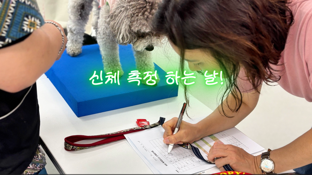 독피트 (29).png 이미지입니다.