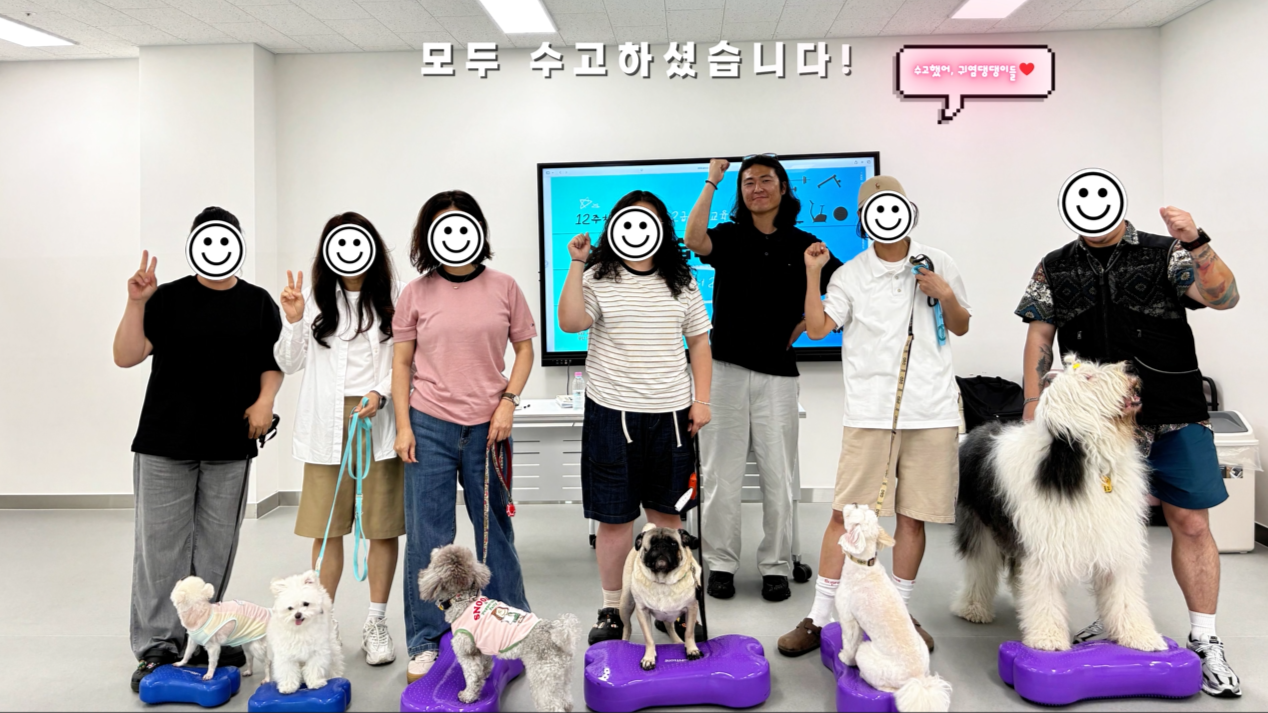 독피트 (34).png 이미지입니다.