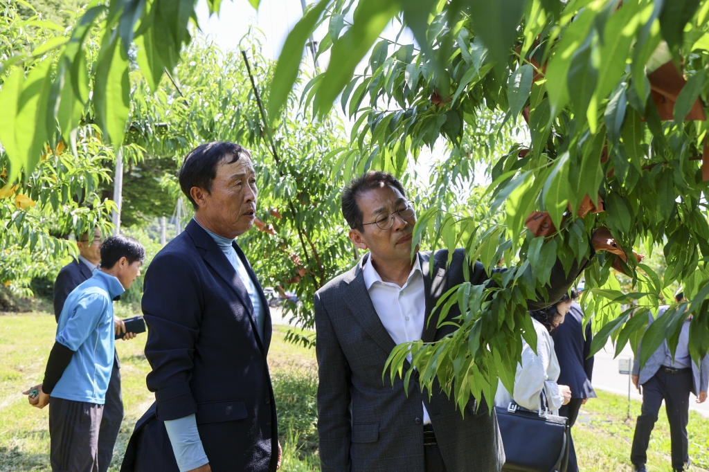 Res_6. 26. 월등 농업현장 방문, 농업인 애로사항 청취 등
